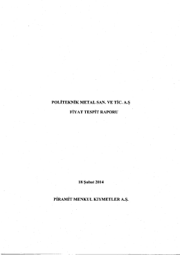 Fiyat Tespit Raporu - Eloksal Kimyasalları