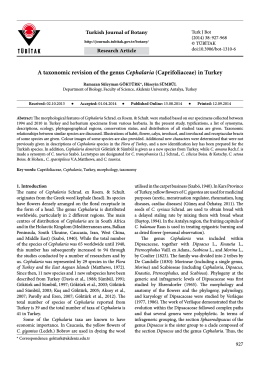 A taxonomic revision of the genus Cephalaria