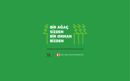 BİR AĞAÇ sgznıaN BIR oRMAN