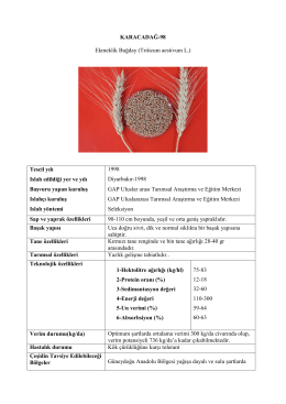 KARACADAĞ-98 Ekmeklik Buğday (Triticum aestivum L.) Tescil yılı