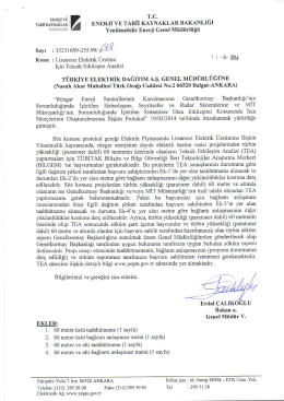 PDF Rapor