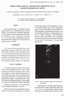 Tam Metin (PDF)