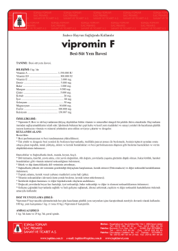 Vipromin internet Pros