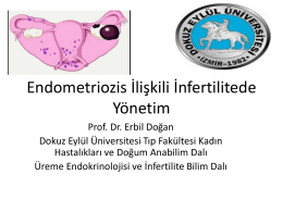 Prof. Dr. Erbil Doğan