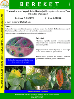 Trabzon Hurması Yaprak Leke Hastalığı