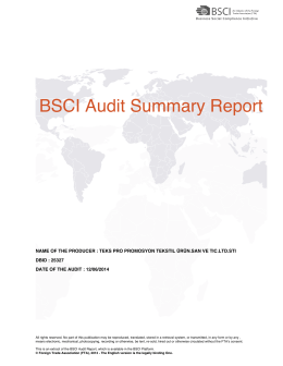 BSCI Audit Summary Report - Teks