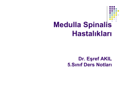 Medulla Spinalis Hastalıkları