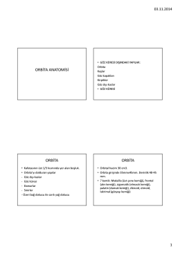 Orbita anatomisi PDF