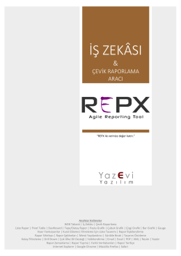 REPX İş Zekası ve Raporlama Aracı