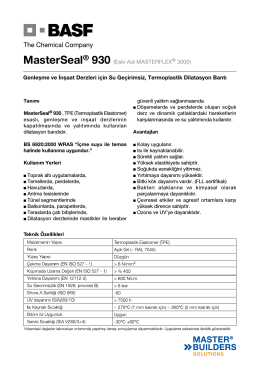 MasterSeal® 930 (Eski Adı MASTERFLEX® 3000