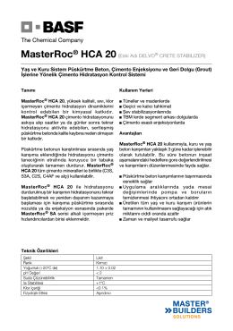 MasterRoc® HCA 20(Eski Adı DELVO® CRETE