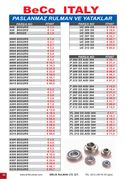 BeCO ITALY - Birlik Rulman