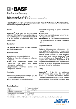 MasterSet® R 2 (Eski adı MELMIX® II) Hazır Yaş Sıva ve