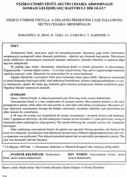 Tam Metin (PDF)