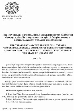 Tam Metin (PDF)