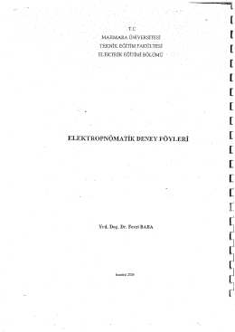 2009-........ Elektropn&ouml;matik Deney F&ouml;y&uuml;