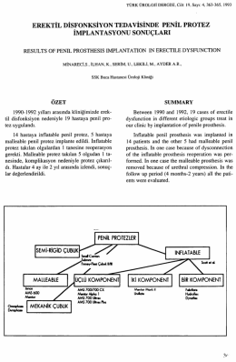 Tam Metin (PDF)