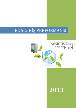 2013 - Enel Enerji Elektronik