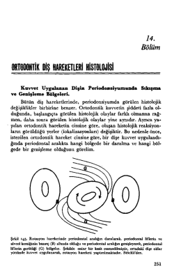 ırtııbıınıik ııış hareketleri histıılujisi
