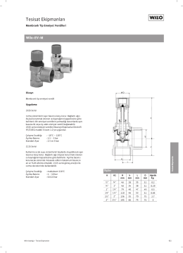 SYR Serisi Emniyet Ventilleri