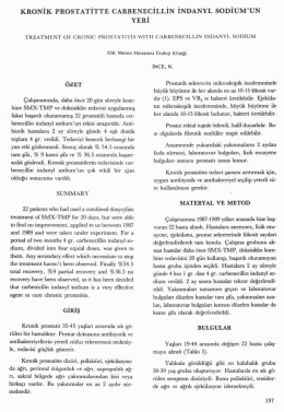 Tam Metin (PDF)