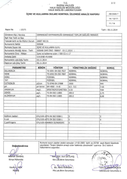 aunsA yALiLlĞl H ı