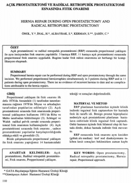Tam Metin (PDF)