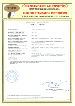 Tüm( STANDARDLARI ENSTİTÜSÜ