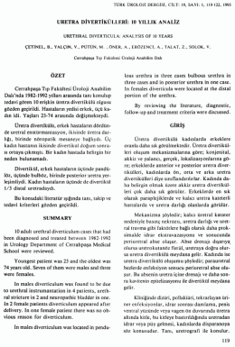 Tam Metin (PDF)