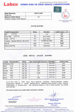 indir - tarmanleonardit.com
