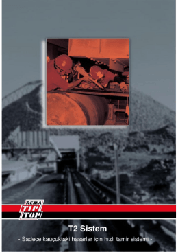T 2 Tamir Sistemi
