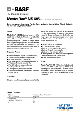 MasterRoc® MS 685(Eski Adı MEYCO® MS 685) Betonun