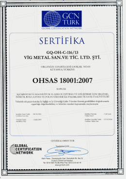 SERTİFİKA - VIG Metal