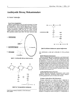 Full Text (PDF) - Klimik Dergisi