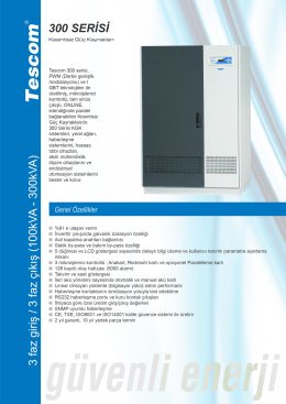 300 SERİSİ