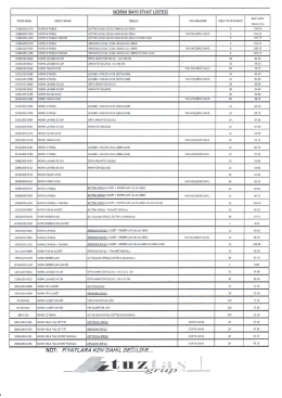 norm bayı fıyat lıstesı