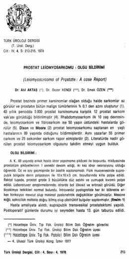 Tam Metin (PDF)