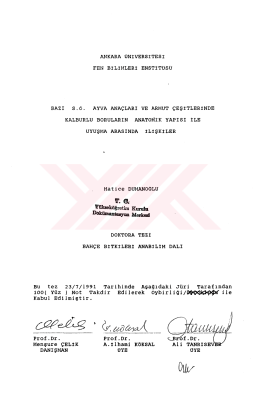 ankara &uuml;niversitesi fen bilimleri enstit&uuml;s&uuml; bazı s.&ouml;. ayva ana&ccedil;ları ve