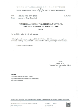 TSE Belgesi - İngilizce
