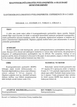 Tam Metin (PDF)