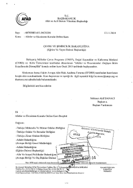 m wp BAŞBAKANLIK