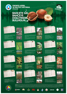 Fındık Takvimi 2015 İndirmek İ&ccedil;in L&uuml;tfen Tıklayınız.