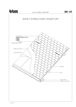 Shingle Detayları