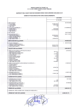 PINAR Su SANAYİ vE TİCARET A.ş. 31 11212013 TARİHLİ