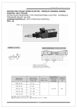 PPG-02 Tip