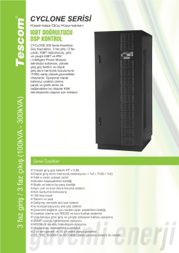 CYCLONE Serisi CL300 (100