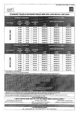 18 Baydoor Standart &Ouml;l&ccedil;&uuml;l&uuml; Proje Seri D&uuml;z Lake Boyalı Cnc Kapı 2ci