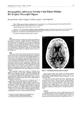 Full Text (PDF) - Klimik Dergisi