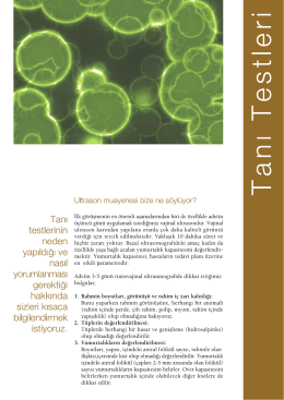 Tanı Testleri - Eurofertil T&uuml;p Bebek Merkezi