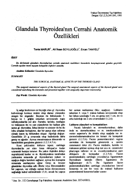 Bu PDF dosyasını indir